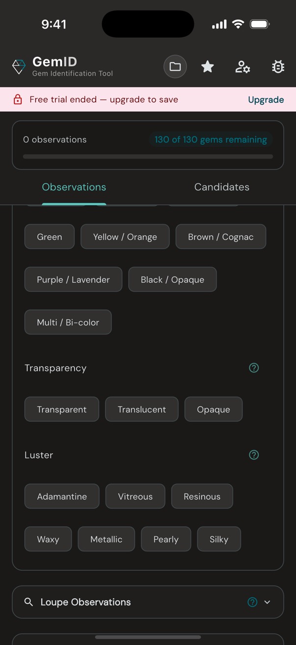 GemID observation chips showing color categories, transparency, and luster options