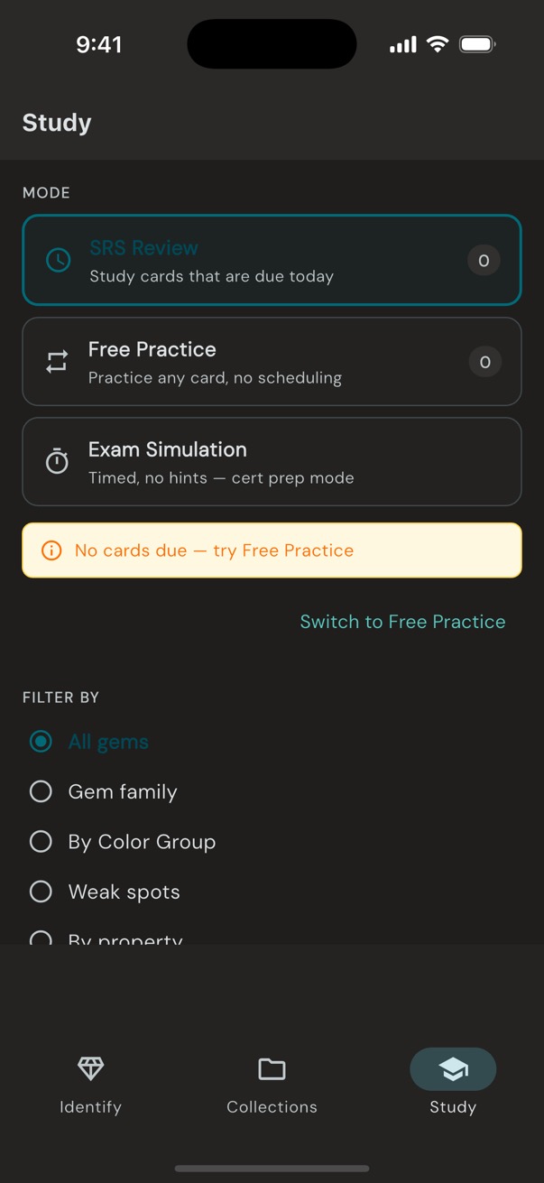 GemID study mode selection showing SRS Review, Free Practice, and Exam Simulation
