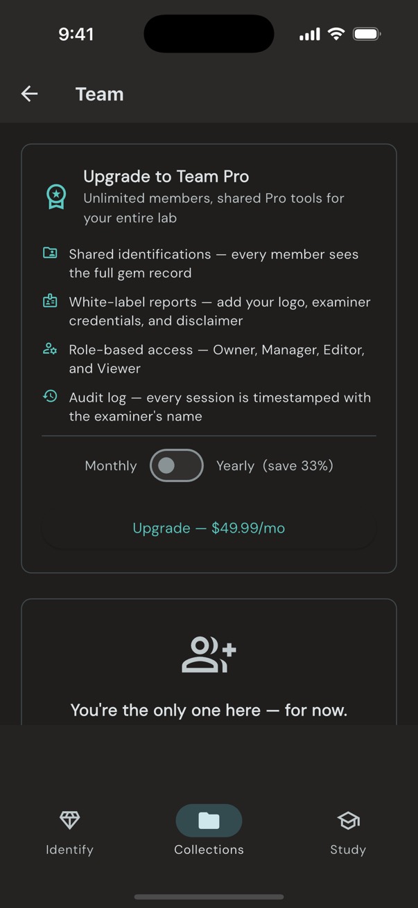 GemID Team Pro screen showing shared sessions, branded reports, role-based access, and audit log