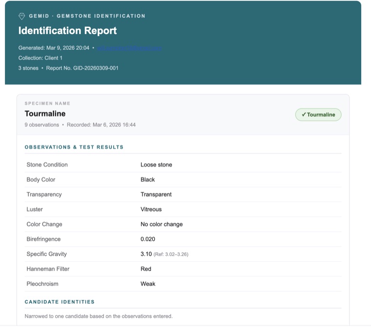 GemID Identification Report — professional export